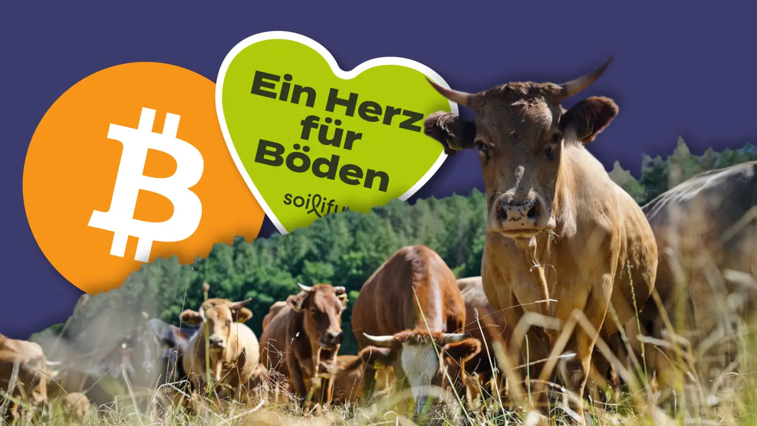 How to Hochkultur Libertärer Thinktank, Bitcoin Bodenfruchtbarkeits Investitionsfonds