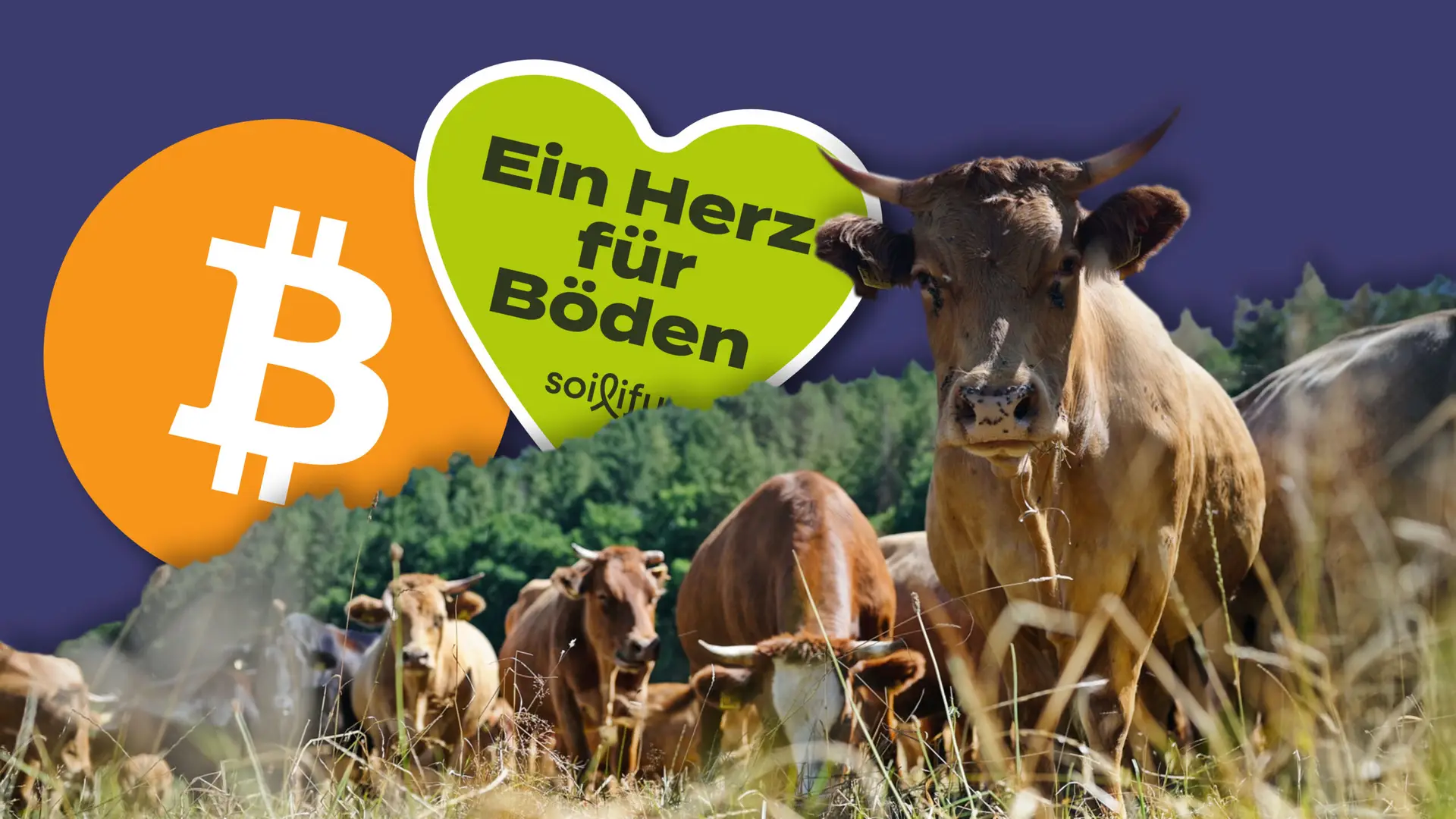 How to Hochkultur Libertärer Thinktank, Bitcoin Bodenfruchtbarkeits Investitionsfonds