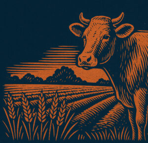 Warum Veganismus ökonomisch nicht funktioniert: Ohne Tierhaltung bricht der Ackerbau ein. Ein Hochkultur-Essay über Kreisläufe, Kalkül und Konsequenz.